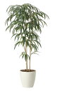 【直送品】ショウナンゴム1.6 2454A400 W75×D60×H160cm 光触媒人工植物 光の楽園 2024【割引不可品】インテリア 人工観葉植物 アート...