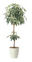 【直送品】ミルキーパキラ1.6 2456A330 W70×D60×H160cm 光触媒人工植物 光の楽園 2024【割引不可品】インテリア 人工観葉植物 アート...