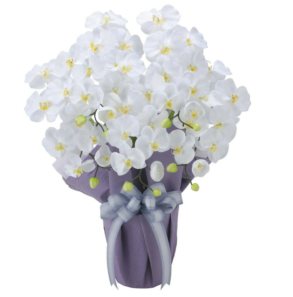 ľʡ۸ĳ ƣ5ΩW 2464A80 W50D35H64cm ޿͹ʪ γڱ 2024ڳԲʡۥƥꥢ ͹...