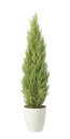 【直送品】ゴールドクレスト1.35 ポリ製 2467A400 W30×D30×H135cm 光触媒人工植物 光の楽園 2024【割引不可品】インテリア 人工観葉...