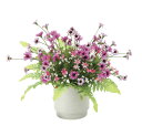 【直送品】ビューティーデージー 2470A38 W32×D26×H27cm 光触媒人工植物 光の楽園 2024【割引不可品】インテリア 人工観葉植物 アートフラ...