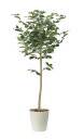 【直送品】レモンツリー1.6 2481A350 W80×D75×H160cm 光触媒人工植物 光の楽園 2024【割引不可品】インテリア 人工観葉植物 アートフ...