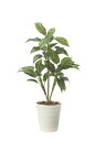 【直送品】フィロ90 2490A100 W50×D50×H90cm 光触媒人工植物 光の楽園 2024【割引不可品】インテリア 人工観葉植物 アートフラワー ギ...