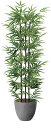 【直送品】ナチュラル黒竹1.6 2504A420 W70×D65×H160cm 光触媒人工植物 光の楽園 2024【割引不可品】インテリア 人工観葉植物 アート...