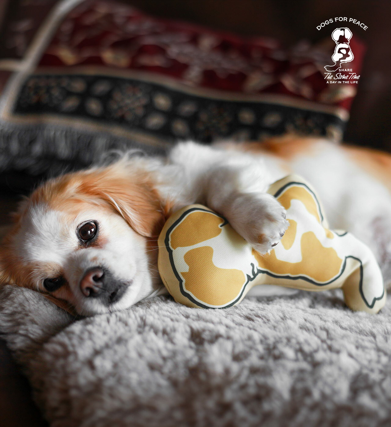 ľʡۥɥå 960006559 w163h231mm ISSUE 001 DOGS FOR PEACEڥإ륷ʡۥ...