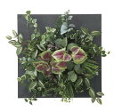 【直送品】ウオールタイプコリウス45 2557A200 W45×D20×H45cm 光触媒人工植物 光の楽園 2025【割引不可品】インテリア 人工観葉植物 ア...