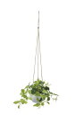 【直送品】チャーリーハンギング 2582A50 W30×D30×H75cm 光触媒人工植物 光の楽園 2025【割引不可品】インテリア 人工観葉植物 アートフラ...