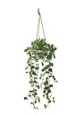 【直送品】フィロハンギング 2584A100 W30×D30×H100cm 光触媒人工植物 光の楽園 2025【割引不可品】インテリア 人工観葉植物 アートフラ...
