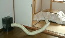 【直送品・大感謝価格 】【日時指定不可】【1人1個限り】温風ヒーター省エネ君
