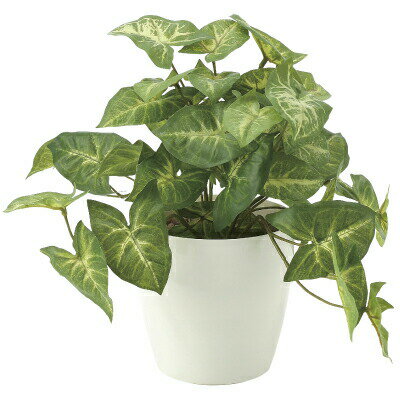 【直送品・大感謝価格 】光の楽園 光触媒フレッシュカラージュームS 【受注制作の為、納期約2週間】 同..