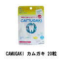 【3個セット】 CAMUGAKI カムガキ 20粒【ヘルシ価格】 噛むハミガキ タブレット 携帯する歯みがき エチケット マウスウオッシュ 口臭対策