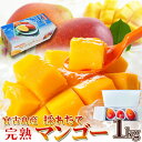 【合計2kg(1kg×2)】【直送品】【期間限定】とろっと、濃厚果実 宮古島マンゴー (アーウィン) 1kg【ヘルシ価格】 天然生活 冷蔵 沖縄 ブランド 糖度...