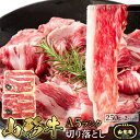 【合計2kg(500g×4個セット)】ブランド牛の高級ランクをお得に! 山形牛A5ランク切り落とし 500gx4セット【直送品】【ヘルシ価格】 牛肉 山形牛 カルビ 切り落とし ブランド牛 焼肉
