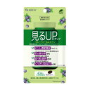 【ネコポス】【機能性表示食品】見るUP ブルーベリー&ルティン 40粒(455mg×40粒)【ヘルシ価格】機能性表示食品 目を良く使う方に パソコン、スマホ、新...