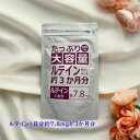 【ネコポスのみ】北日本科学 ルテイン サプリ 1袋702mg含有 約三か月分 北日本科学 たっぷり大容量ルテインサプリメント 540粒 たっぷり大容量ルテインサプリメント 栄養補助食品