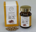 【楽天倉庫直送】プレミアム霊芝