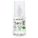 【10個セット】【医薬部外品】のどスッキリうがい薬 300ml ミントx10個セット【ヘルシ価格】 医薬部外品 うがい薬 のど お口 消毒 口臭予防 ウイルス対...
