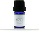 LUCAS エクストラ・エッセンシャルオイル スペアミント 5ml【楽天倉庫直送h】 アロマ エッセンシャルオイル 精油 アロマオイル リラクゼーション ヨガ