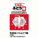 【5個セット】乳酸菌入りぶどう糖 20粒×5健康食品 ぶどう糖 乳酸菌配合 大丸本舗 ブドウ糖