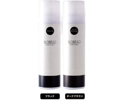 【あす楽対応】【3個セット】大感謝価格 ソルリオ ヘアメイク 170g【楽天倉庫365日出荷　直送】 1