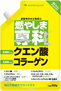 燃やしま専科 500g クエン酸 食用 国