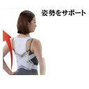 長の姿勢サポーター 【楽天倉庫直送】 インナー サポートベルト フィットするよう調節できる 長時間 長の姿勢サポーター