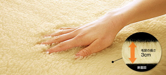 【直送品・大感謝価格】The PREMIUM Sofwoolあったか敷き毛布Q 160×205cm PSF-S17Q [3]