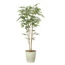 【直送品・大感謝価格 】マウンテンアッシュ1.8 900A360 光触媒人工植物 光の楽園 2019 W80×D70×H180cm【別途送料が発生する場合あり・...