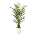 【直送品・大感謝価格 】アレカパーム1.5 ポリ製 907A340 光触媒人工植物 光の楽園 2019 W80×D70×H150cm