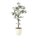 【直送品・大感謝価格 】オリーブ1.3 909A200 光触媒人工植物 光の楽園 2019 W60×D60×H130cm【別途送料が発生する場合あり・ラッピングは有料(不可の場合あり)】