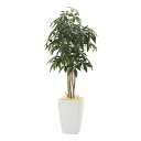 【直送品・大感謝価格 】アーバンパキラ1.8 941A600 光触媒人工植物 光の楽園 2019 W70×D70×H180cm【別途送料が発生する場合あり・ラッ...