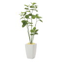 【直送品・大感謝価格 】アーバンブランチウンベラータ1.8 943A650 光触媒人工植物 光の楽園 2019 W65×D60×H180cm【別途送料が発生する...