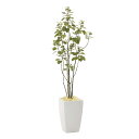 【直送品・大感謝価格 】アーバンブランチツリー1.8 944A450 光触媒人工植物 光の楽園 2019 W60×D50×H180cm【別途送料が発生する場合あ...