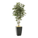【直送品・大感謝価格 】アーバンベンジャミン1.8 946A600 光触媒人工植物 光の楽園 2019 W80×D70×H180cm【別途送料が発生する場合あり...