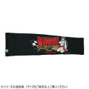 NANKAI テクノライダークールアームカバー 限定 (MEGU) 「碧志摩メグ」×NANKAIコラボレーションプログラム SDW-3054M L【お寄せ品、返品キャンセル不可。欠品終売時連絡あり】