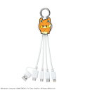 【メール便】 ポケットモンスター マルチケーブル パモ CB-PM04【お寄せ品、返品キャンセル不可。欠品終売時連絡あり】