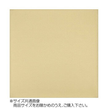 【メール便】 トレシー カラークロス 30×30cm A3030-YOO G-05 ベージュ【お寄せ品、返品キャンセル不可..