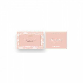 【メール便】 日本香堂 ESTEBAN(エステバン) カードフレグランス イリスカシミア 52152【お寄せ品、返品キャンセル不可。欠品終売時連絡あり】
