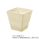 SKスクエアポット パウダーベージュ 15.5×H15.5 3d00020PBE【お寄せ品、返品キャンセル不可。欠品終売時連絡あり】