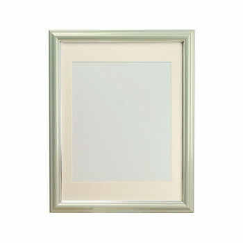 無反射Vカラー肖像額 八〇判 PGY 106-273【お寄せ品、返品キャンセル不可。欠品終売時連絡あり】