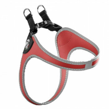 （ペット） TRE PONTI フィッビア　リフレクティブ レッド 2.5号 LTP110【お寄せ品、返品キャンセル不可。欠品終売時連絡あり】