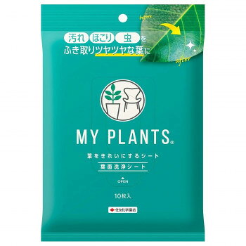 【メール便】 キンチョー園芸 MP葉をきれいにするシート 10枚【お寄せ品、返品キャンセル不可。欠品終売時連絡あり】