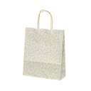 自動手提袋 HBT ルミエール 50枚 XZK00906【お寄せ品、返品キャンセル不可。欠品終売時連絡あり】