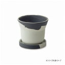 フィーカポット セサミラテ 30778【お寄せ品、返品キャンセル不可。欠品終売時連絡あり】
