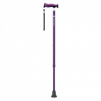 Canes - バンブーステッキ パープル　104944【お寄せ品、返品キャンセル不可。欠品終売時連絡あり】
