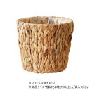 PPアミアミポット 5号 中 7600035【お寄せ品、返品キャンセル不可。欠品終売時連絡あり】