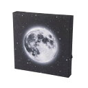 LEDキャンバスアート 月 500-101【お寄せ品、返品キャンセル不可。欠品終売時連絡あり】