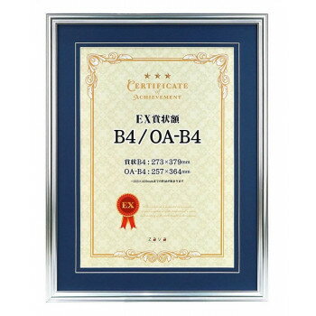 EX賞状額 B4兼用判 SL(マット青) 106636【お寄せ品、返品キャンセル不可。欠品終売時連絡あり】