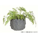 フラワーポット 86295【お寄せ品、返品キャンセル不可。欠品終売時連絡あり】(4)
