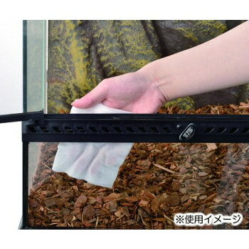 ヘルシー救急BOXのジェックス テラリウムシートクリーナー 40枚 1743400【お寄せ品、返品キャンセル不可。欠品終売時連絡あり】｜アングル2
